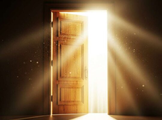 The time of grace illustrated as an open door of opportunity